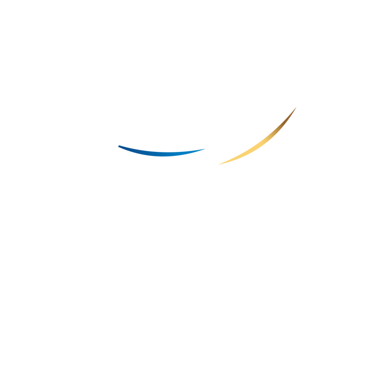 VzionInvest logo
