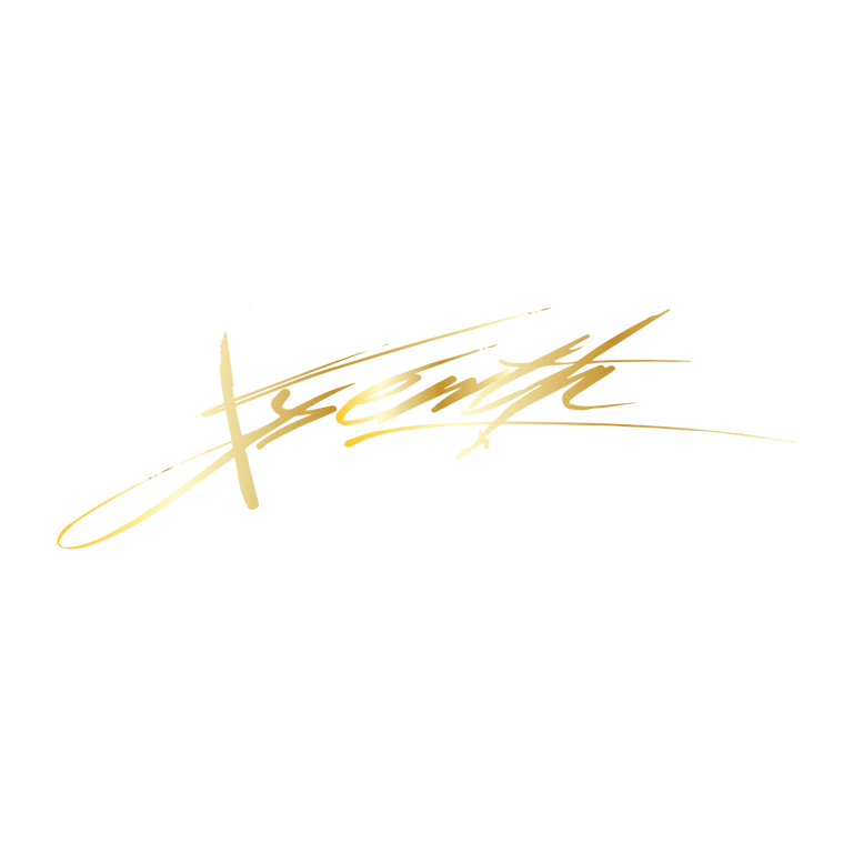 Visionary Xxenyth Where Vision Meets Zenith logo