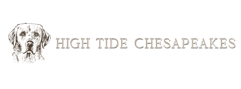 High Tide Chesapeakes logo