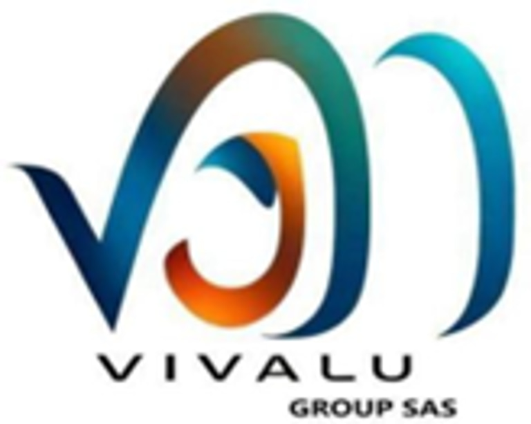 VIVALU GROUP SAS logo