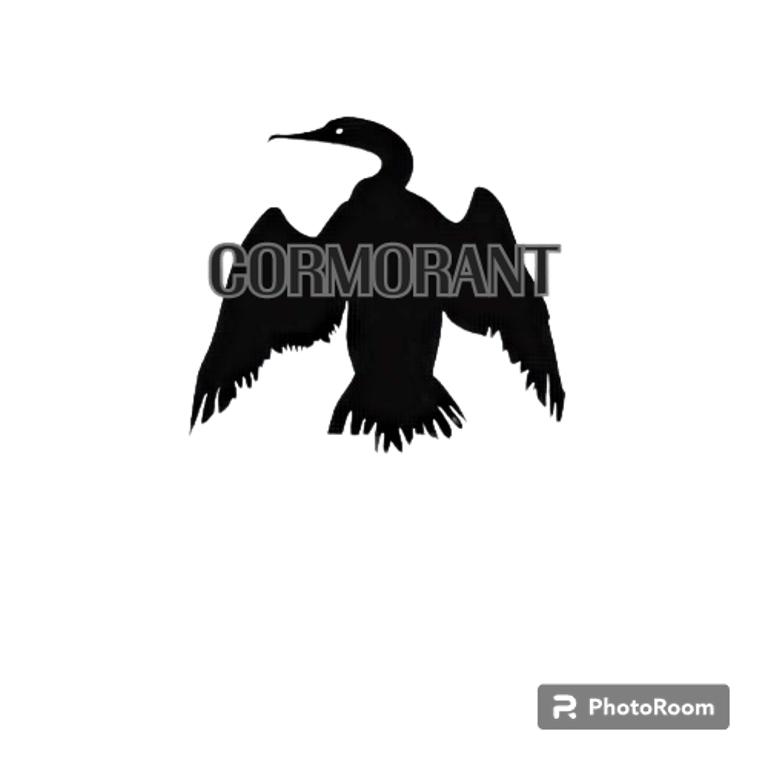 Cormorant Performance Parts logo