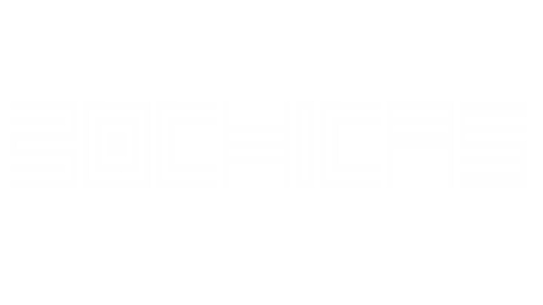 BOCHICAS logo