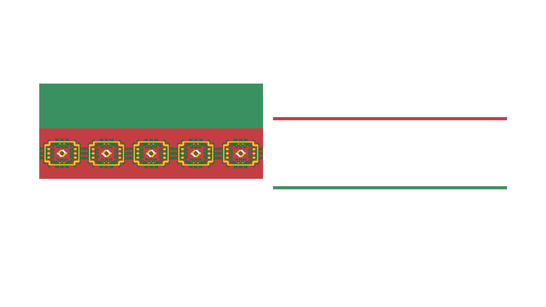 South Turkmen National Republic logo