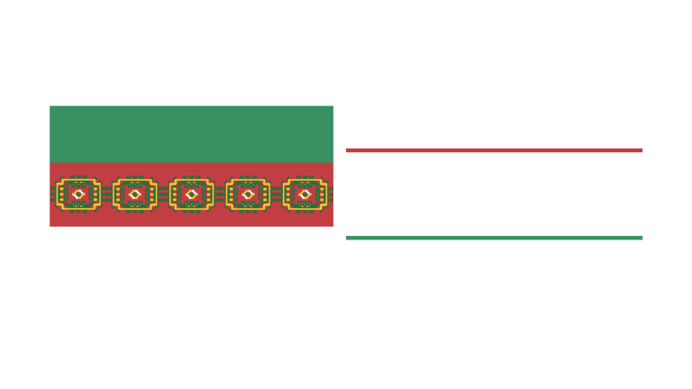 South Turkmen National Republic logo