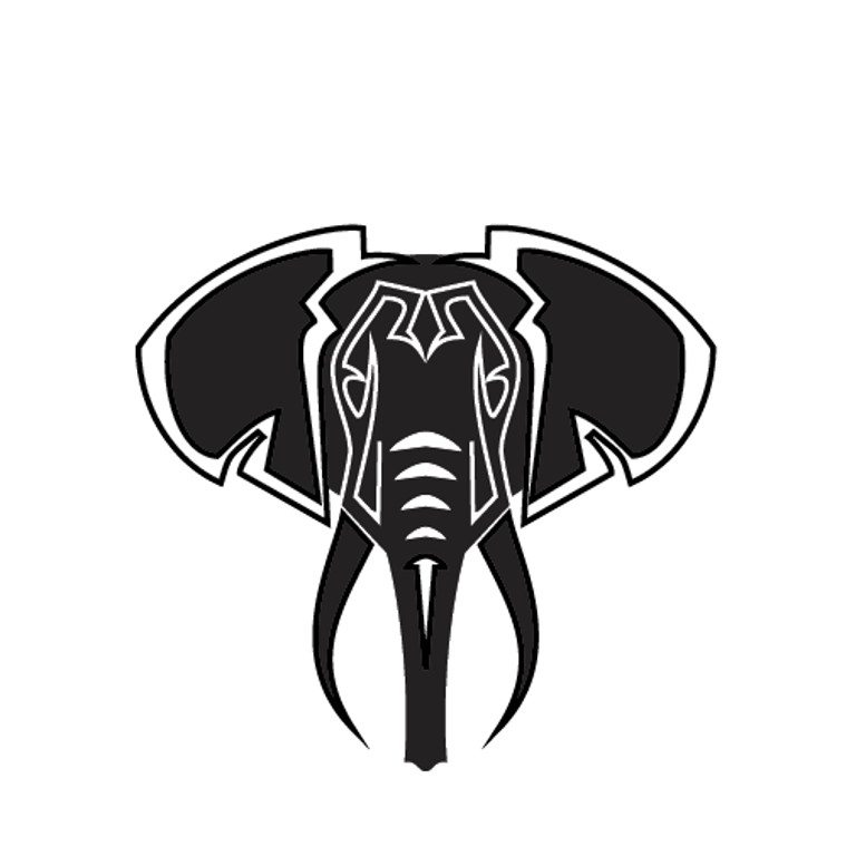 Graphic Design and Data Visualization logo
