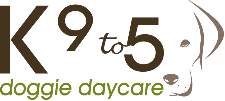 K9 TO 5 doggie daycare logo