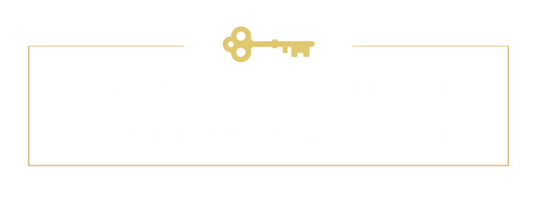 HD Immobilier logo