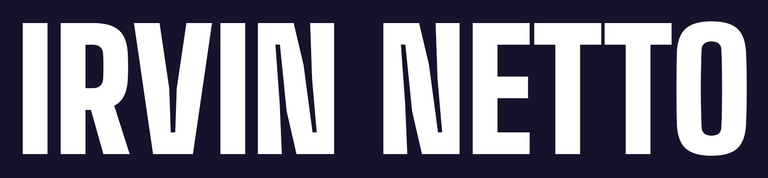 Irvin Netto logo