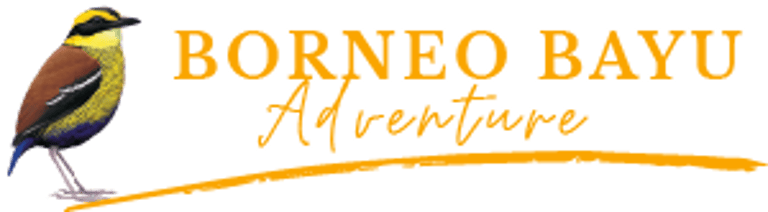 Borneo Bayu Adventure logo
