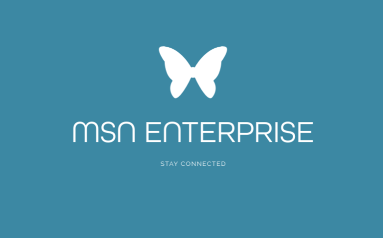 MSN ENTERPRISE logo