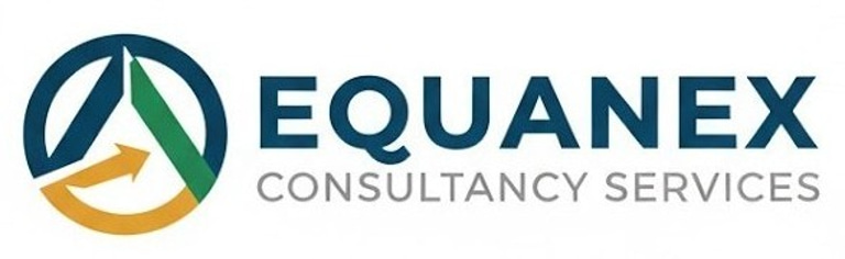 EQUANEX CONSULTANCY SERVICES logo