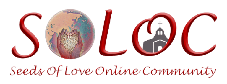 SOLOC logo