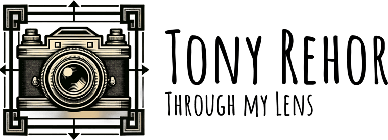 A View Through the Lens logo