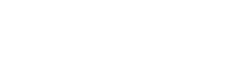 Segdefensa logo