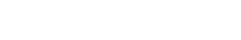 Bondtrips logo