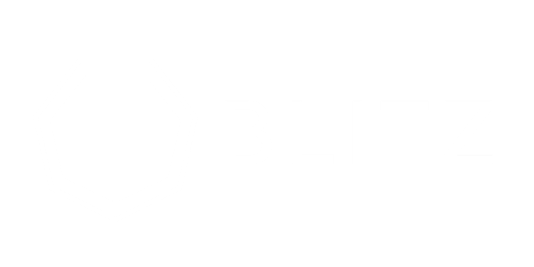 Blitz Group logo