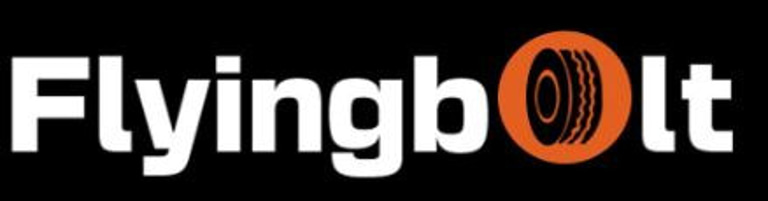 Flyingbolts Mobility and Services logo