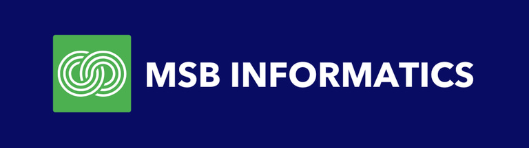 MSB INFORMATICS logo