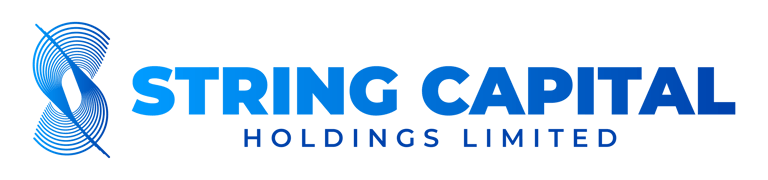 String Capital Holdings Limited logo