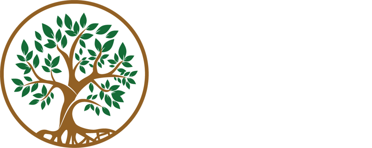DeSouza logo