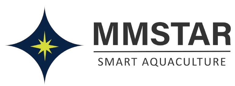 MMstar logo