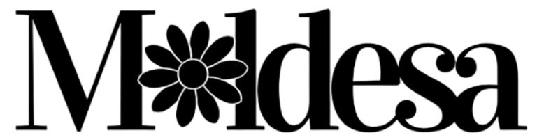 Moldesa logo