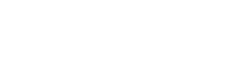 Chamán Interactive logo