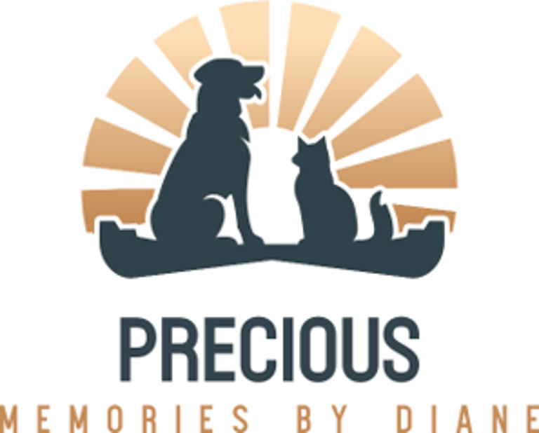 Precious Memories By Diane logo