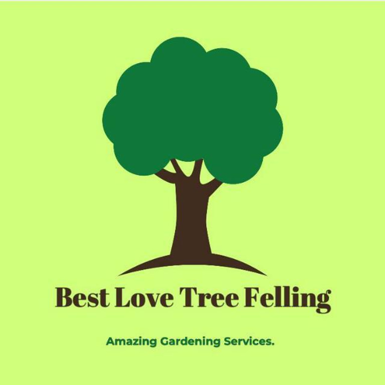 Apex Tree Fellers GP logo