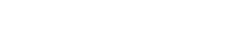 La Stravaganza logo