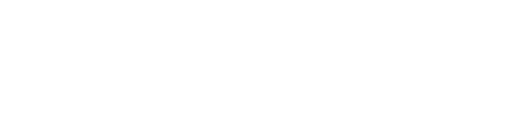 Nicole Emelie logo
