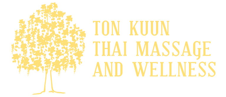 nisa masaje y belleza logo