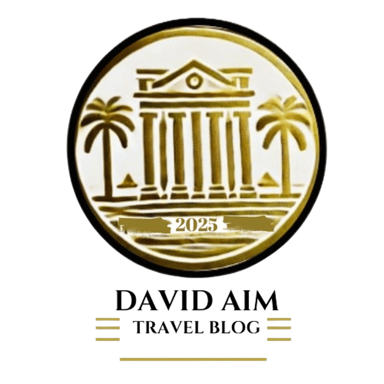 david aim travel logo