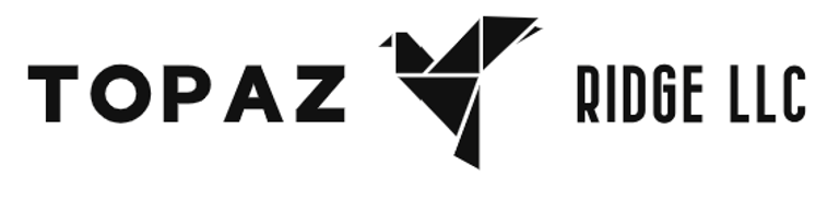 LeadBoost Marketing logo