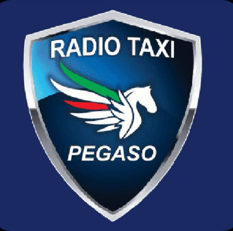 Radio Taxi Pegaso Oficial logo