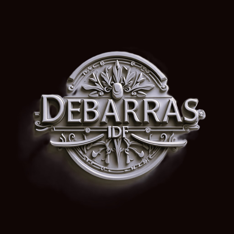ILE DE FRANCE DEBARRAS "sans tracas" logo