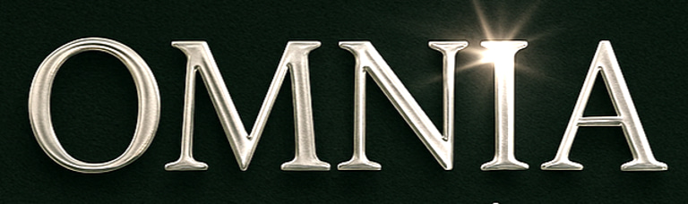 OMNIA STANDARD ENTERPRISE logo