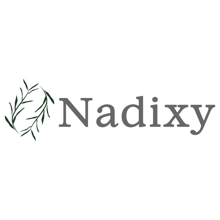 Nadixy logo
