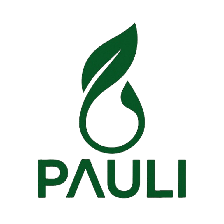 Pauli logo