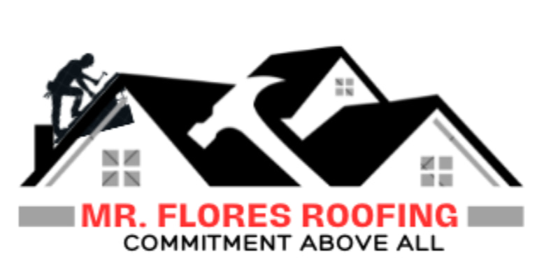 dominio temporal ROOFING logo