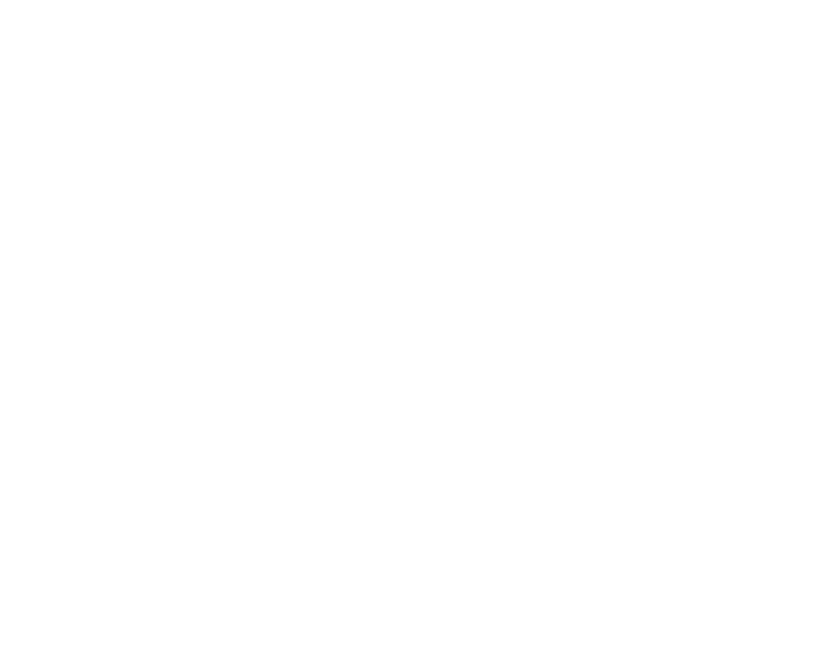 MULIA VALET logo