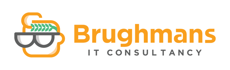 Brughmans IT consultancy logo