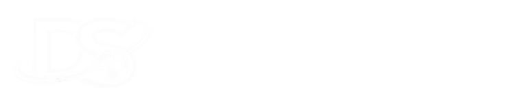 Deep Sight for General Trading Co. Ltd. logo