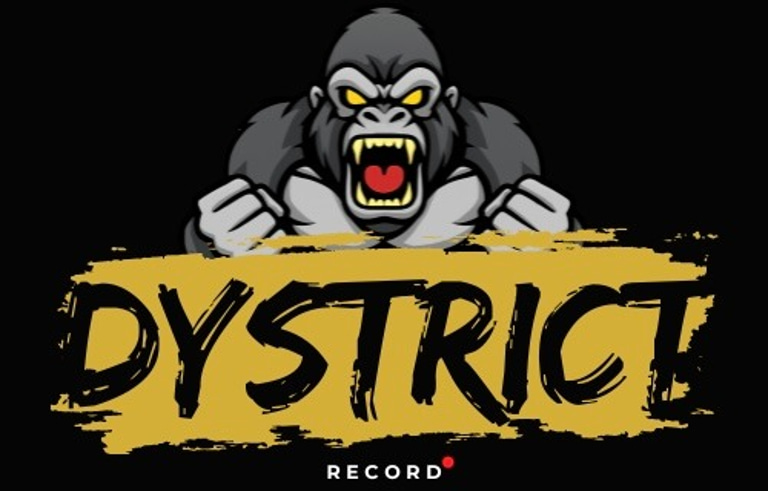 Dystrict Record logo
