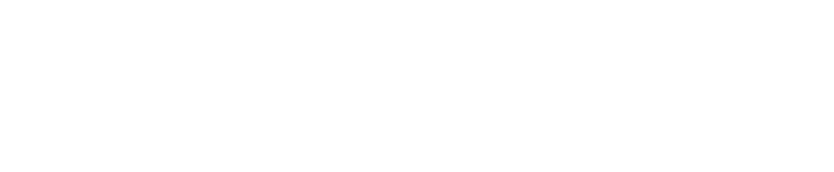 SPINA Educação logo