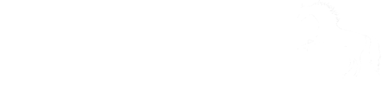 Brenda Wahler logo