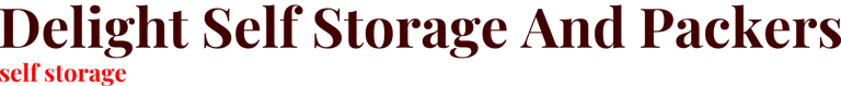 Delight Self Storage And Packers logo
