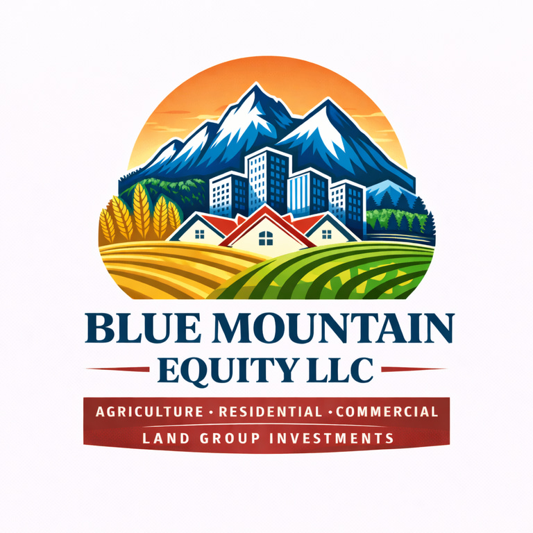 Blue Mountain Equity logo