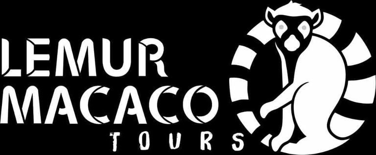 Lemur Macaco Tours logo