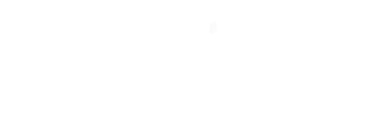 Magyar Tükör logo
